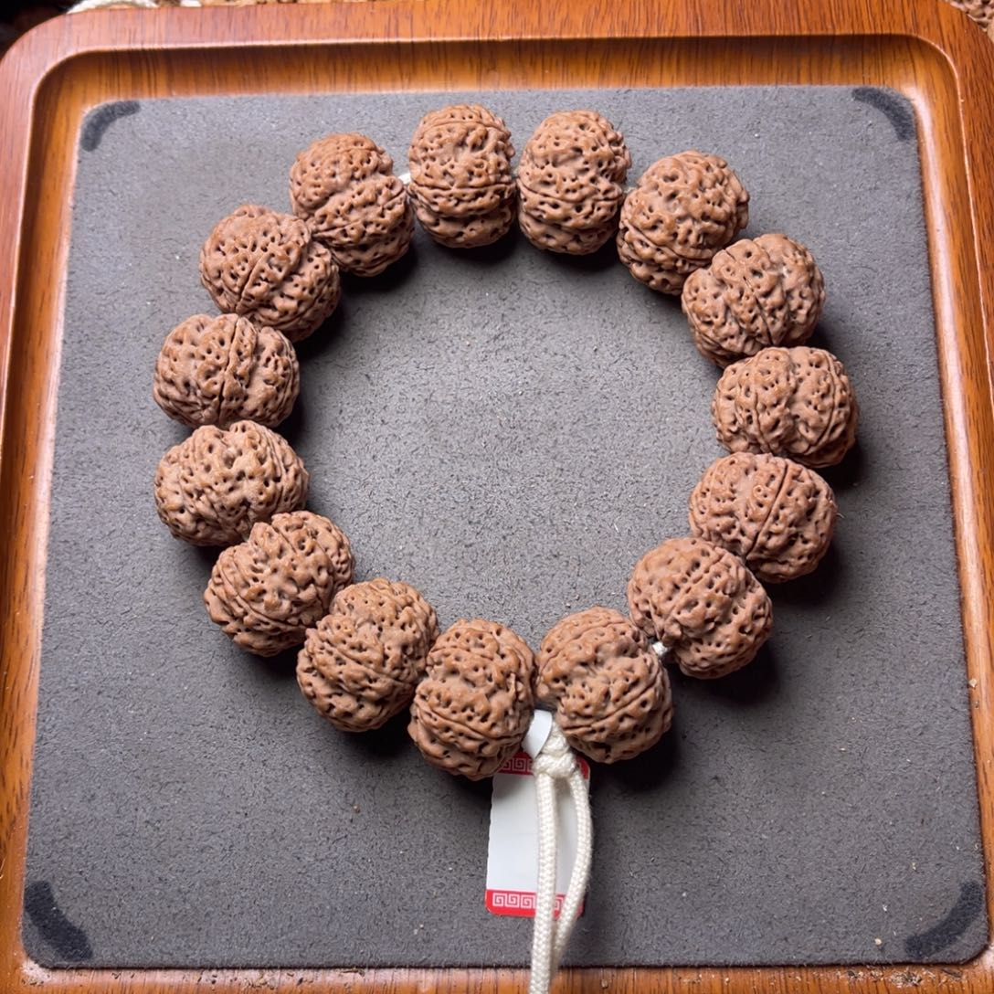 菩提籽类14号金刚菩提六星蜂王24