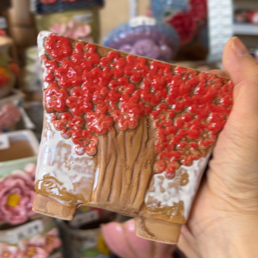 多肉花盆，满20发货爱退拉黑