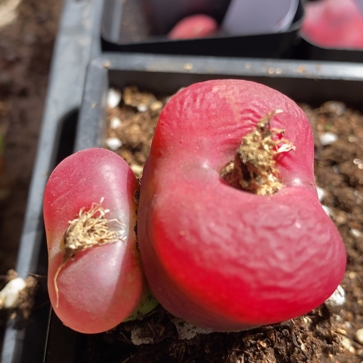 13216一个一个一个