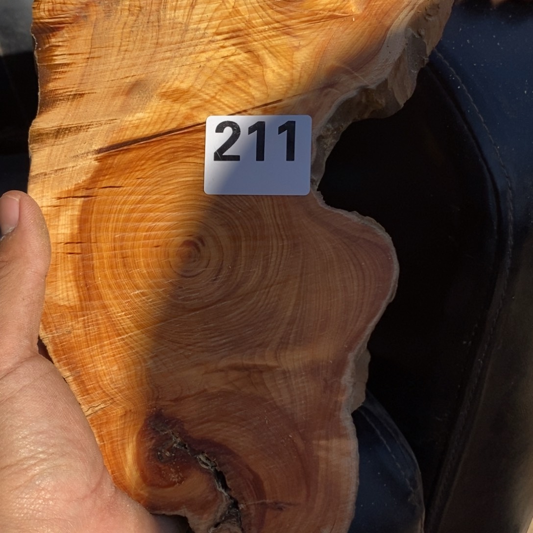 柏木（崖柏）太崖柏切片一块