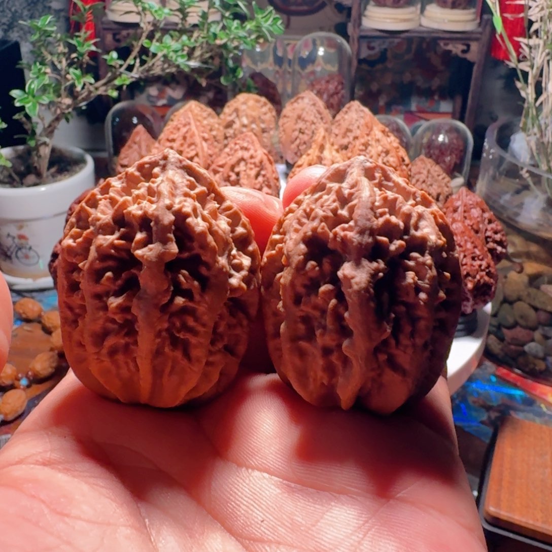吊坠文玩核桃小蚂蚁
