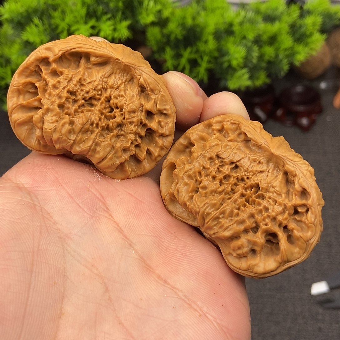 核桃异形聚宝盆蛇头半壁50尺寸49克编号066