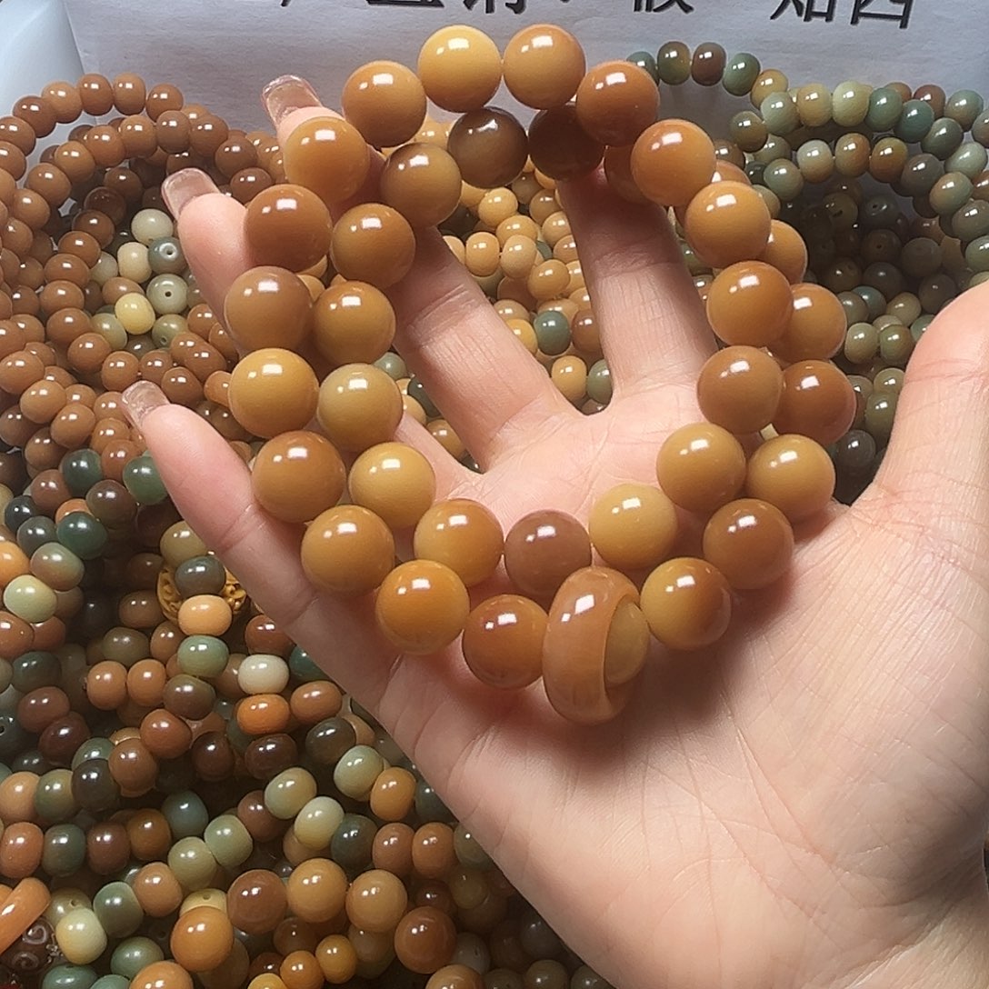吊坠菩提根/象牙果