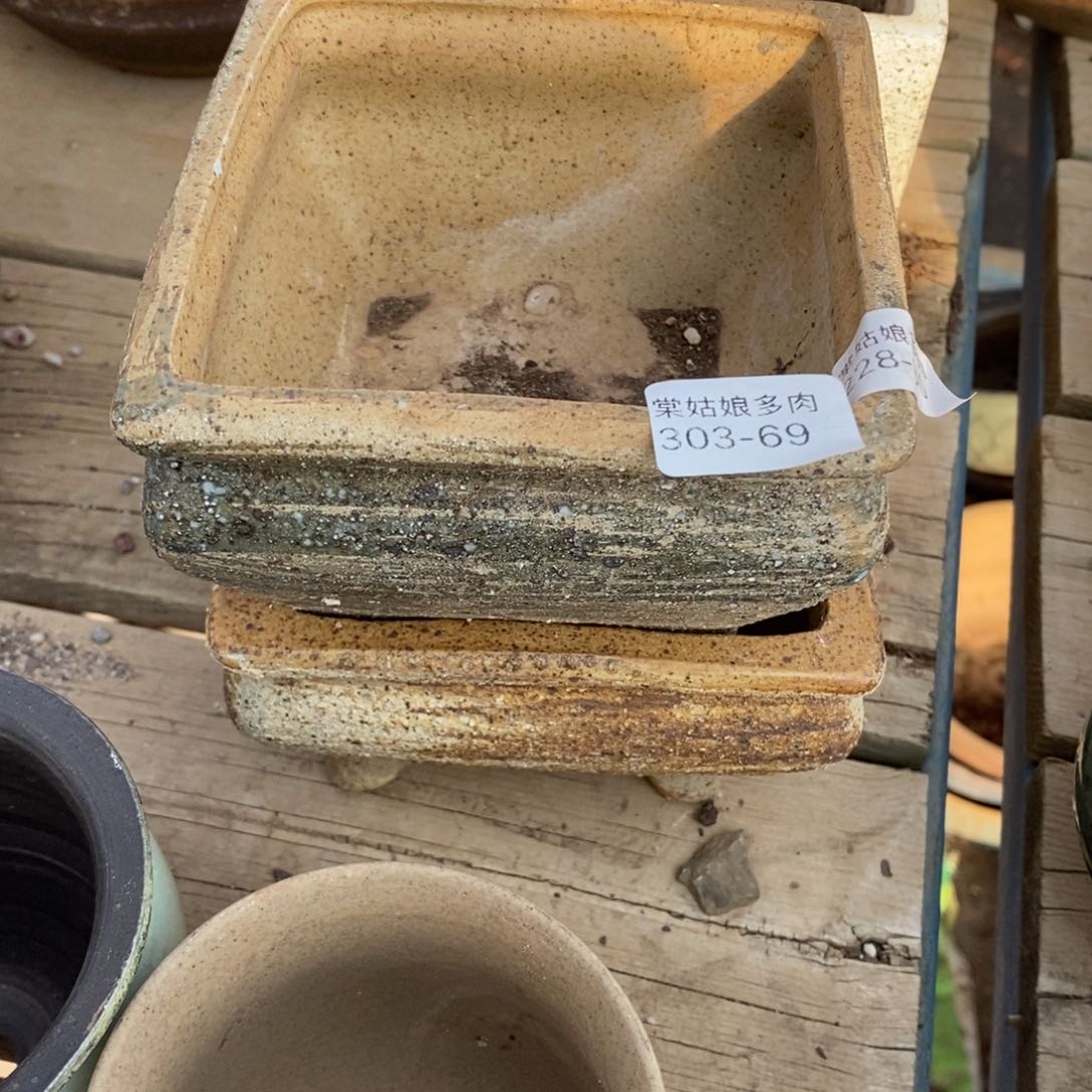 红陶牵****丶69号多肉盆两个组合