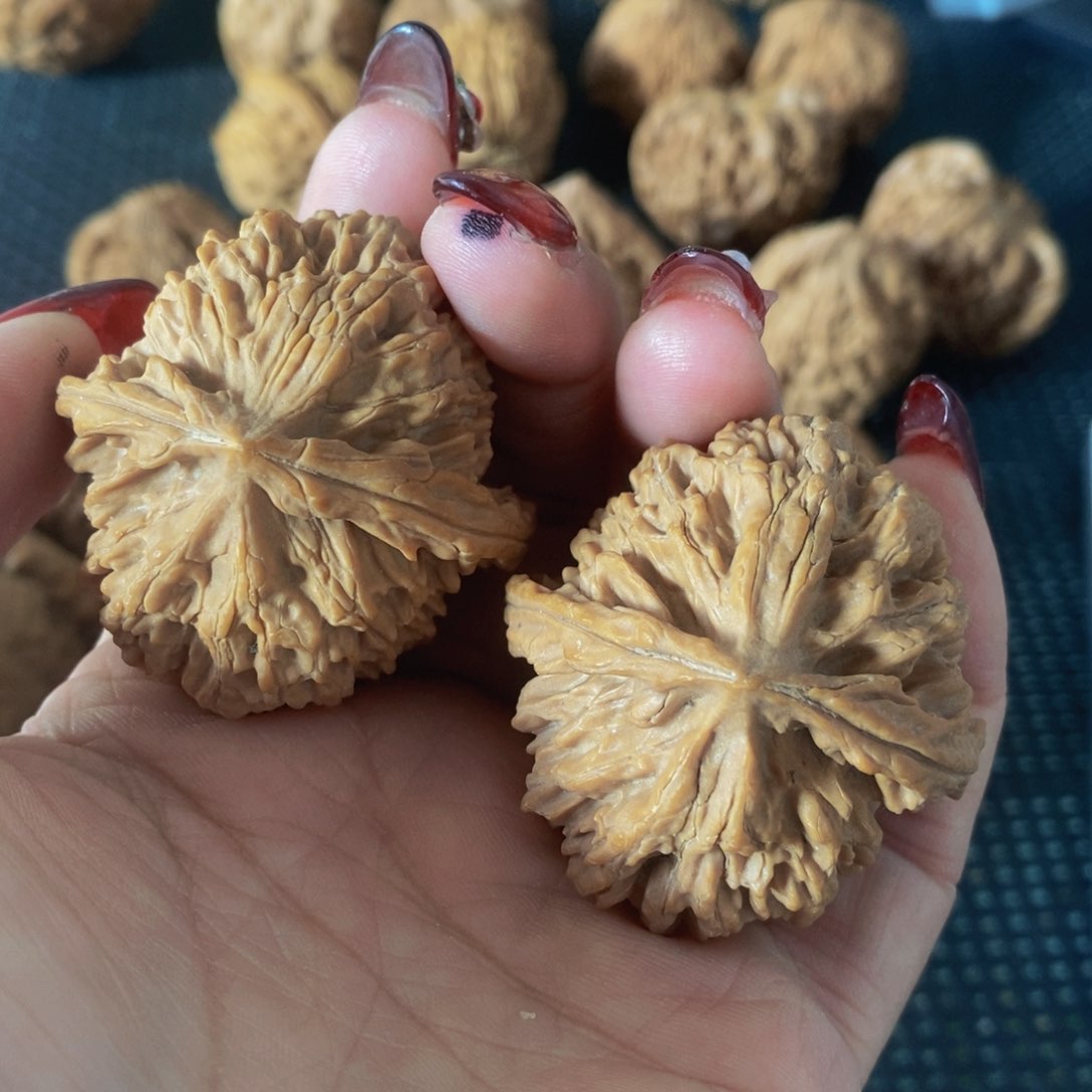 大*全品无修文玩核桃野生