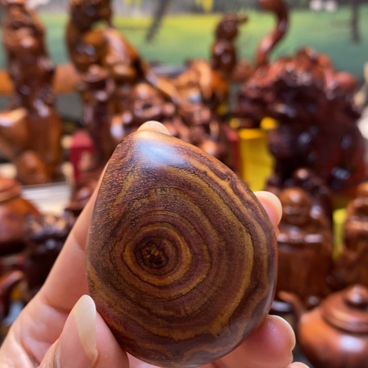 黄花梨/降香黄檀海南