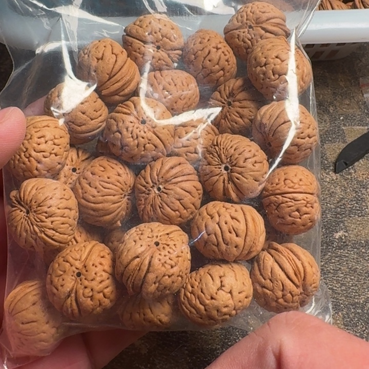 书***生吊坠桃核66666666666