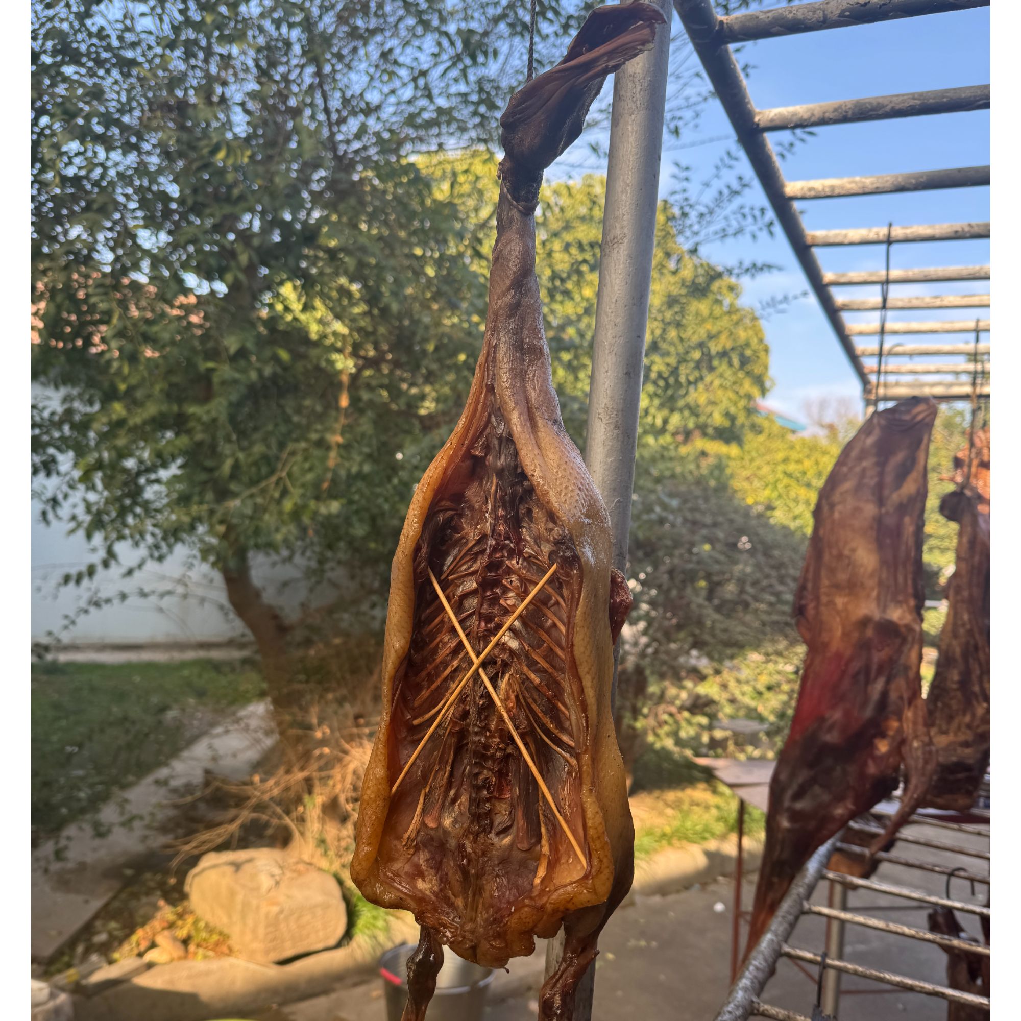 腊鸭湖南石门土特产腊味腊鸭整只送礼年货湖南特产腊肉
