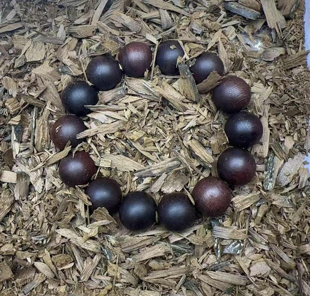 沉香老九优选/d059