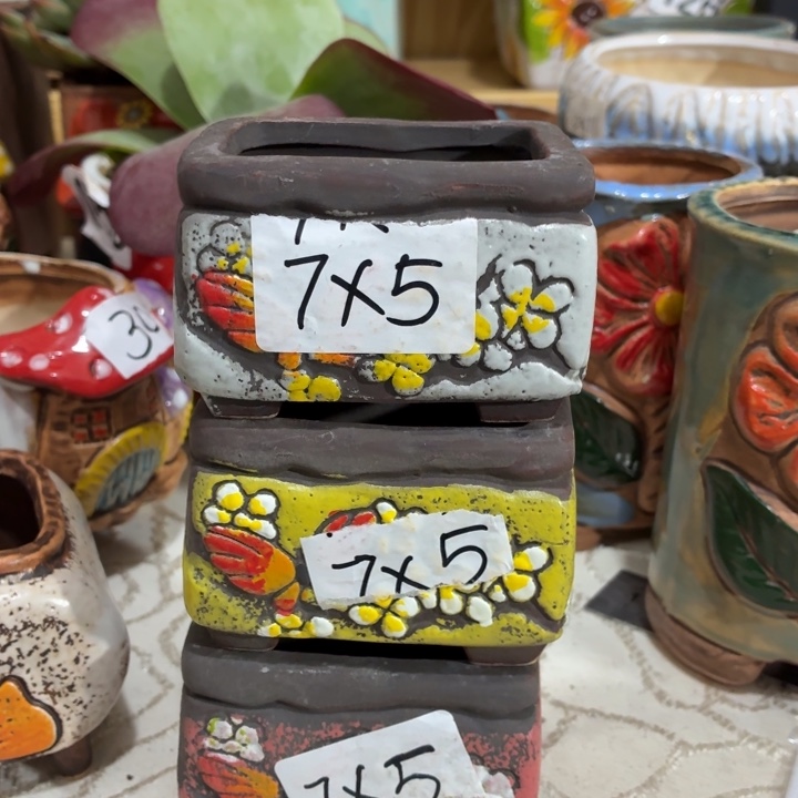 多肉花盆满15包邮