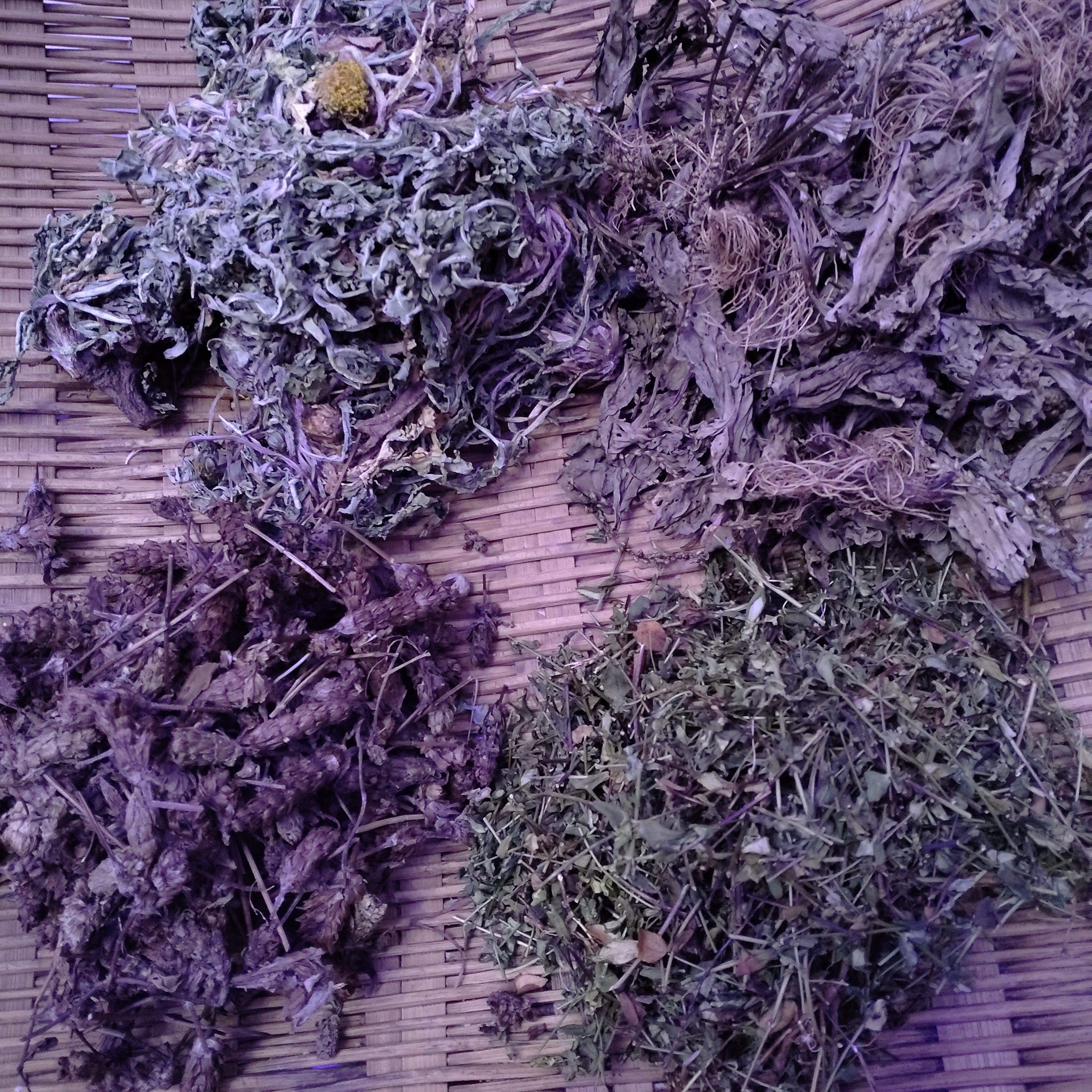 贵州深山核桃（ 废 ，结 ，核  ）3副包邮