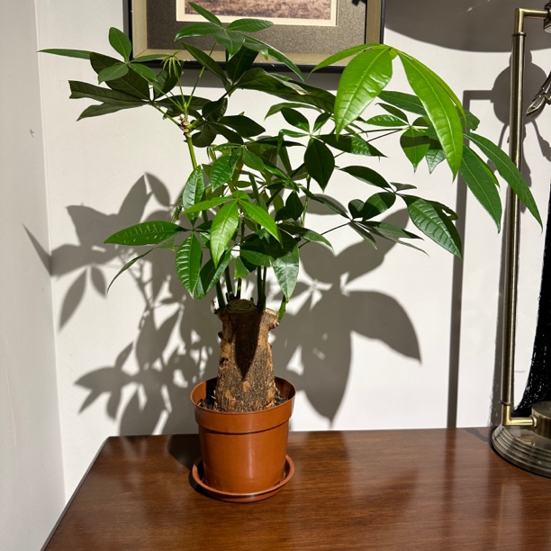 所有小件家具通用链接截图联系客服