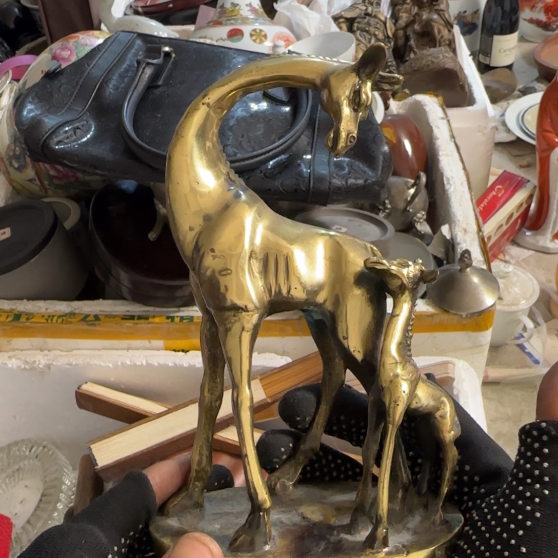 欢***语杂色豆（科檀/科特迪瓦檀木）