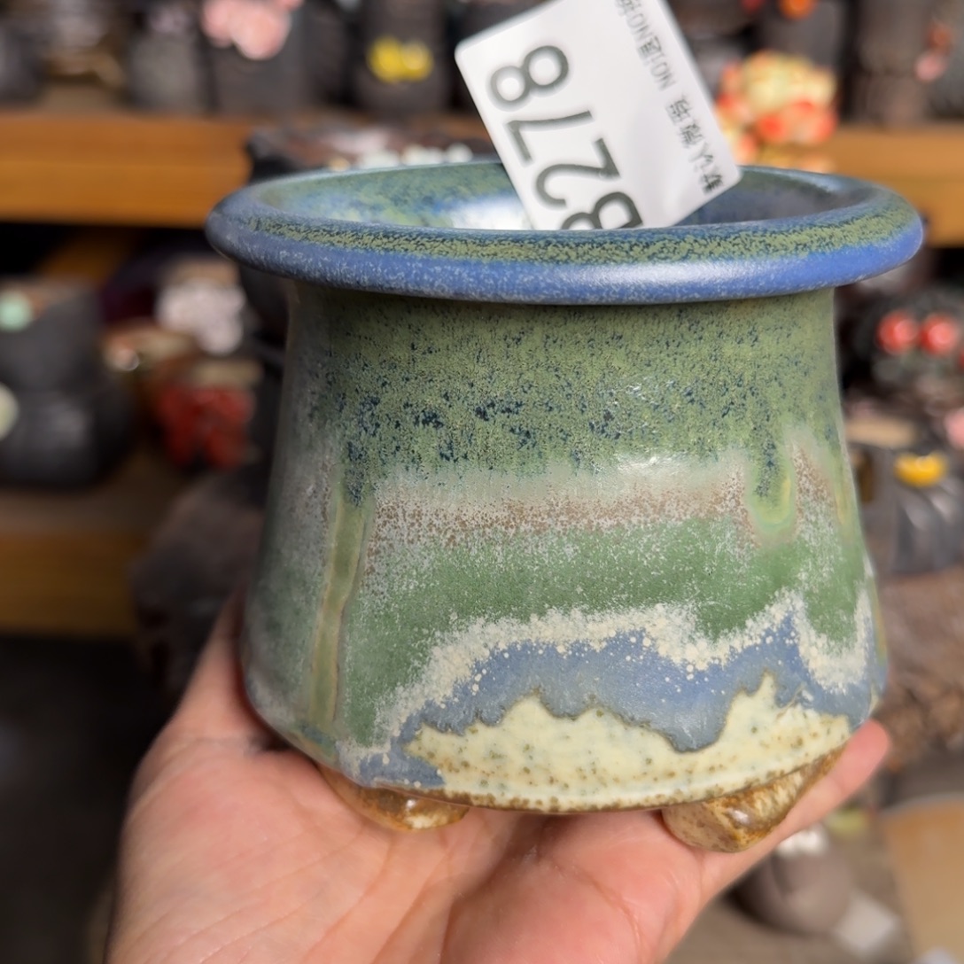 重庆小燕子欢迎大家278