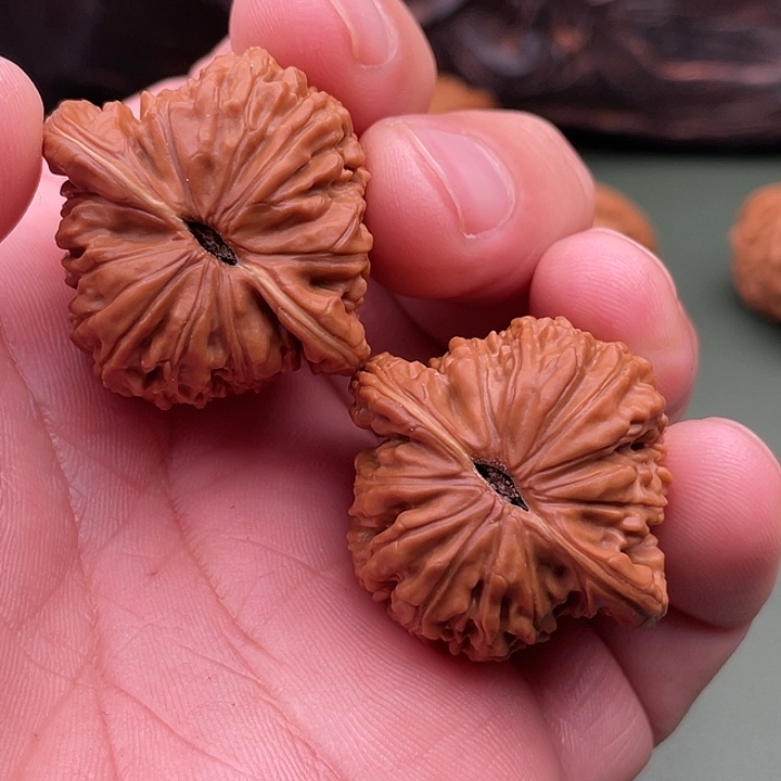 核桃把件35全品红皮正桩肉楼核桃