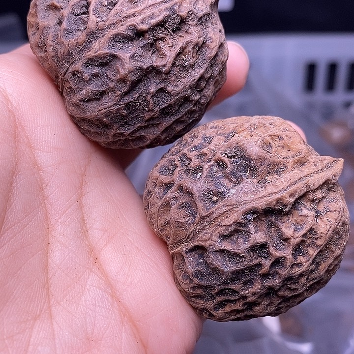 文玩核桃吊坠  192