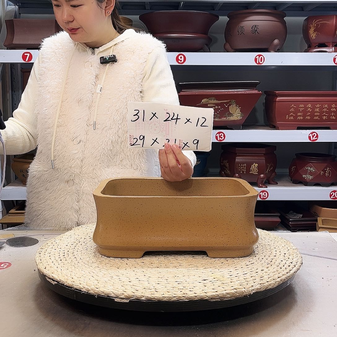 紫砂花盆紫砂花盆中