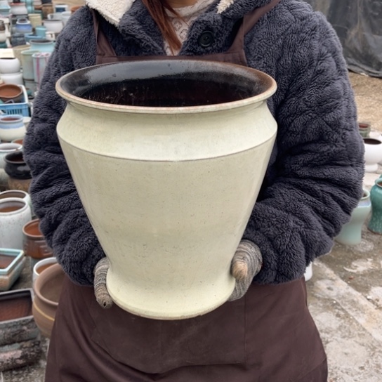 红陶口25高30正品