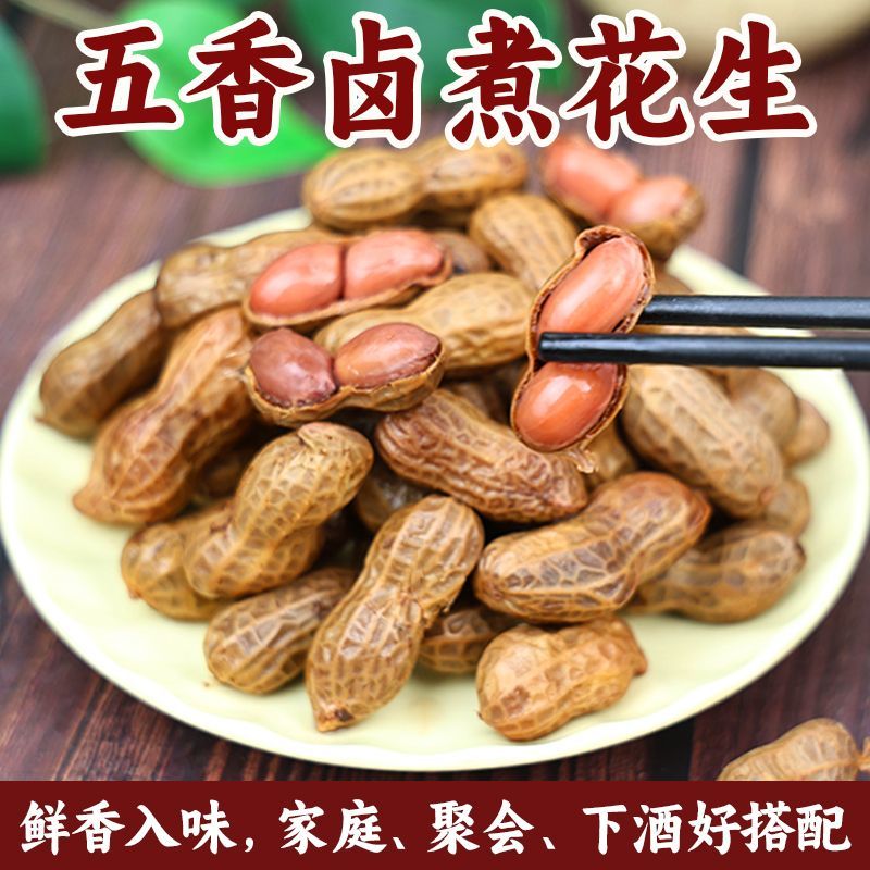 五香卤煮花生带壳湿花生卤汁水煮咸味下酒酒鬼花生400g匠心煮制