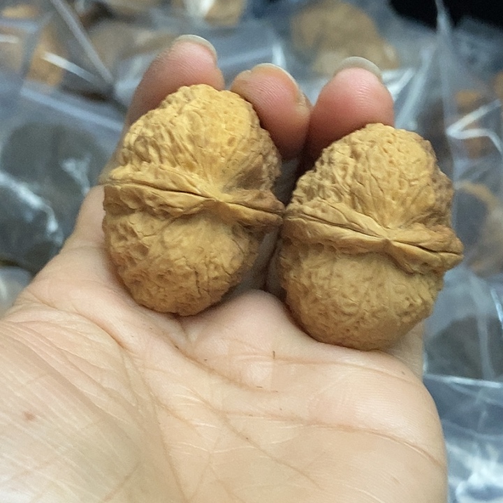 文玩核桃把件云南铁核桃基地37