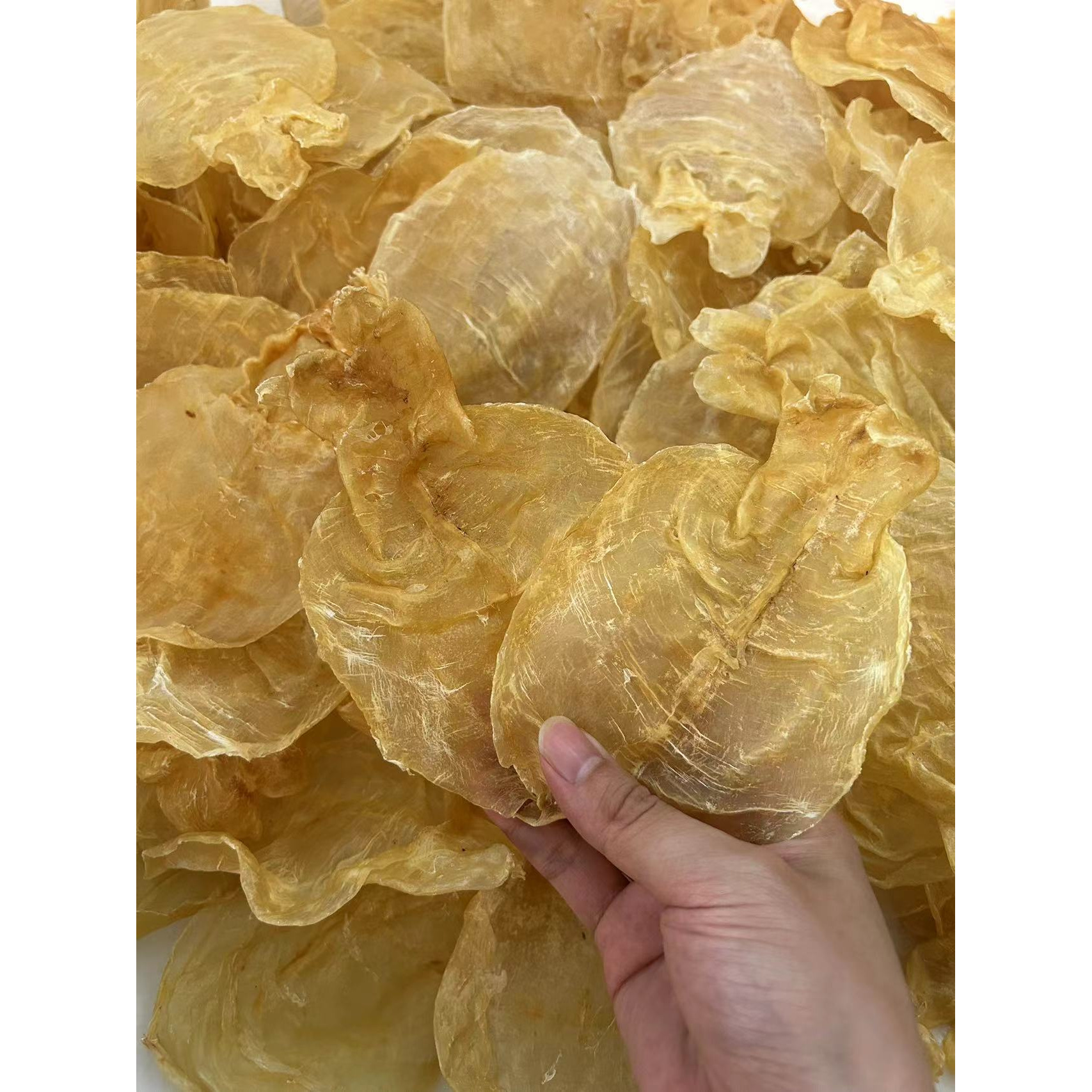 29头蜘蛛胶片甲肚花胶鱼胶干货厚肉胶片孕妇月子滋补品100g