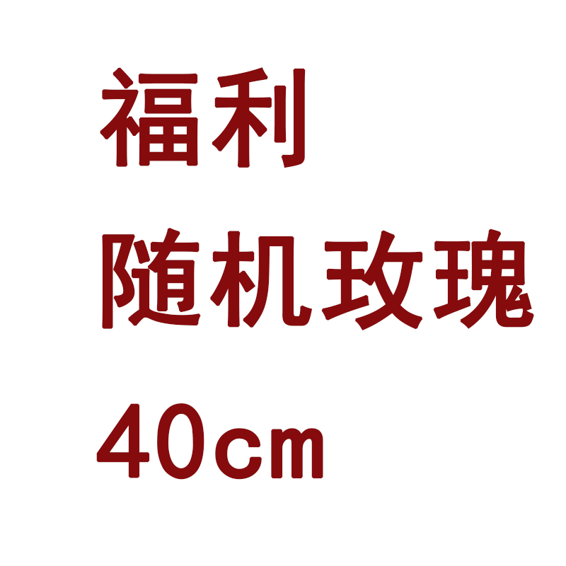 【随机玫瑰40cm】新鲜采收一单顺丰