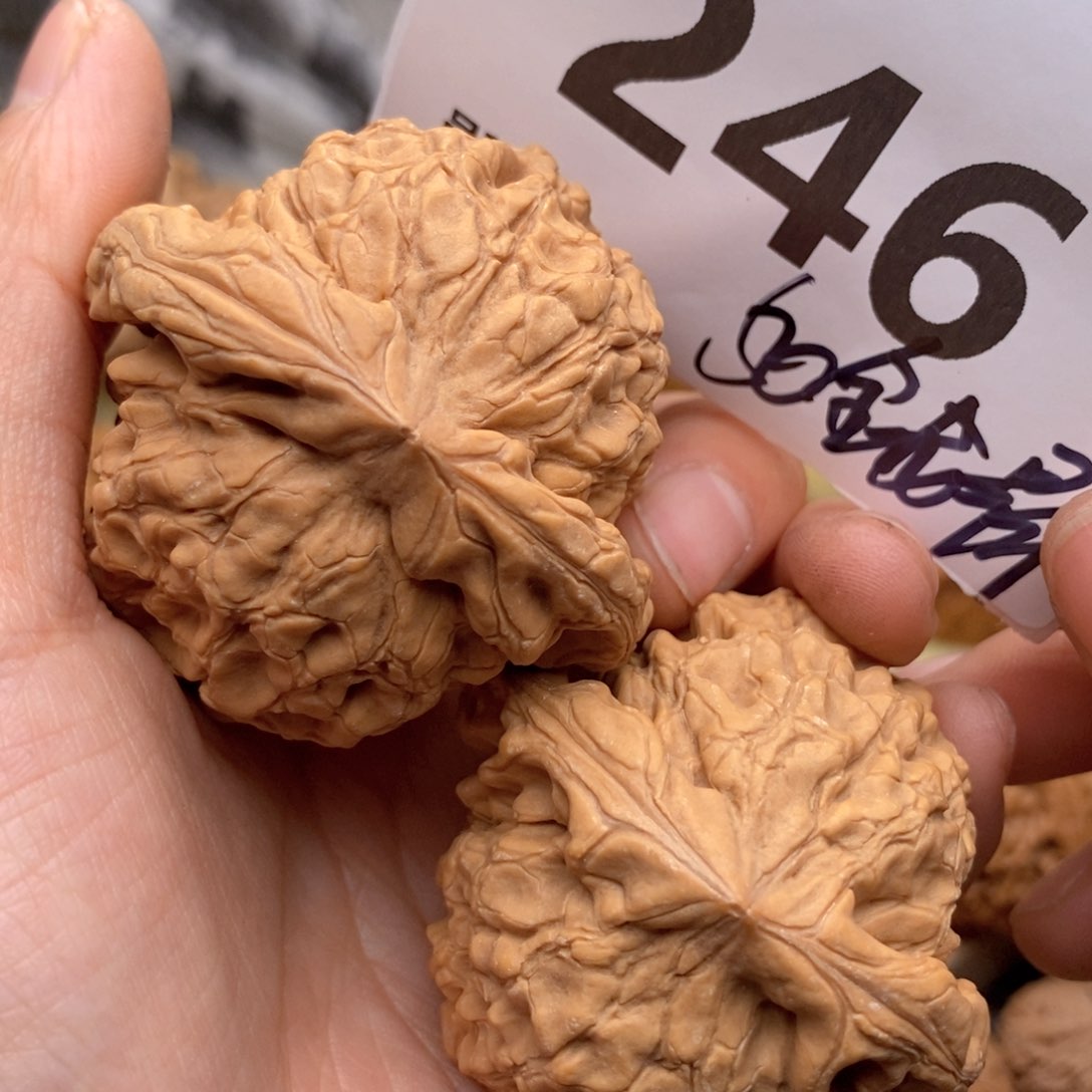 文玩核桃把件246号50全龙鼎