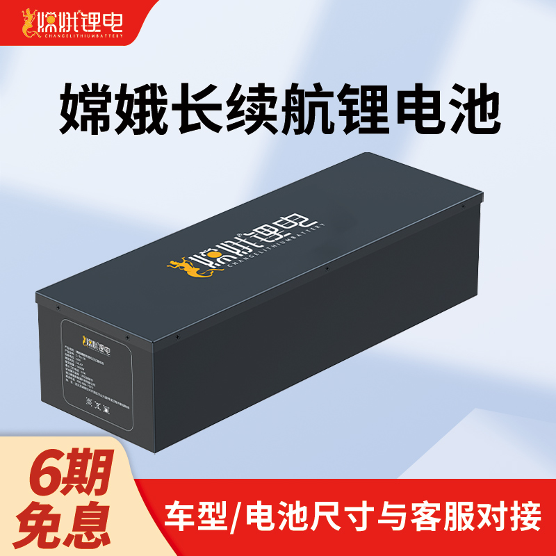嫦娥品牌长续航电摩锂电池电瓶耐用全新电芯磷酸铁锂电池