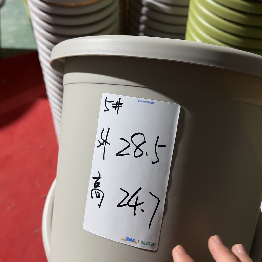 树脂四季5号无托6个灰白微瑕