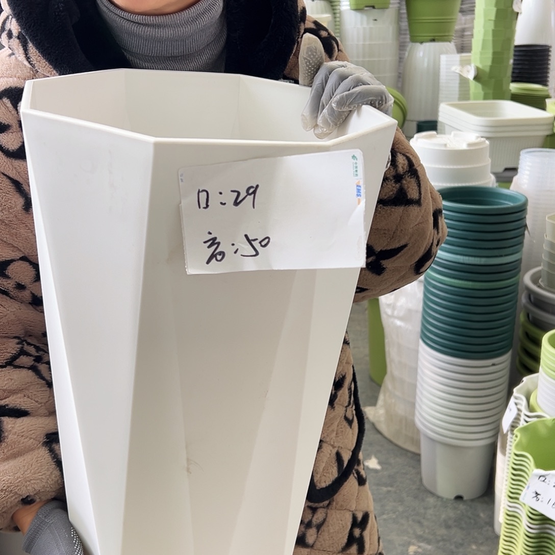 瑕疵八角大号白色2个无托