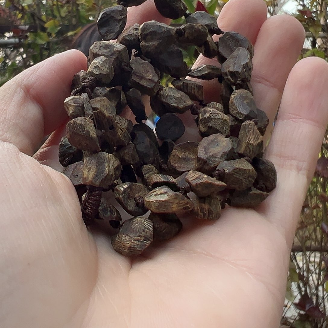 沉香手串喜**洋沉水树丁多样性发货一条15克➕