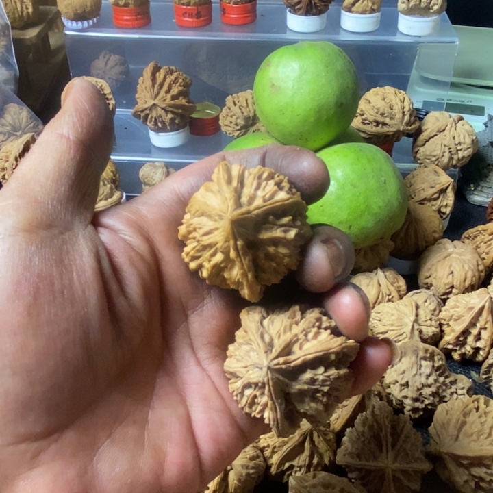 不***殇大叶紫檀（黑酸枝木类）