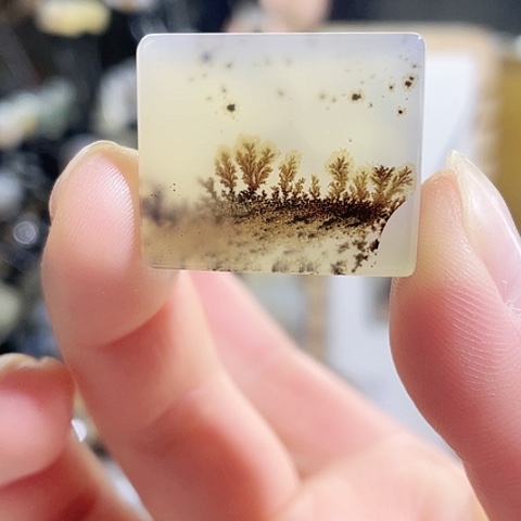 玛瑙/玉髓珠宝奇石未镶嵌