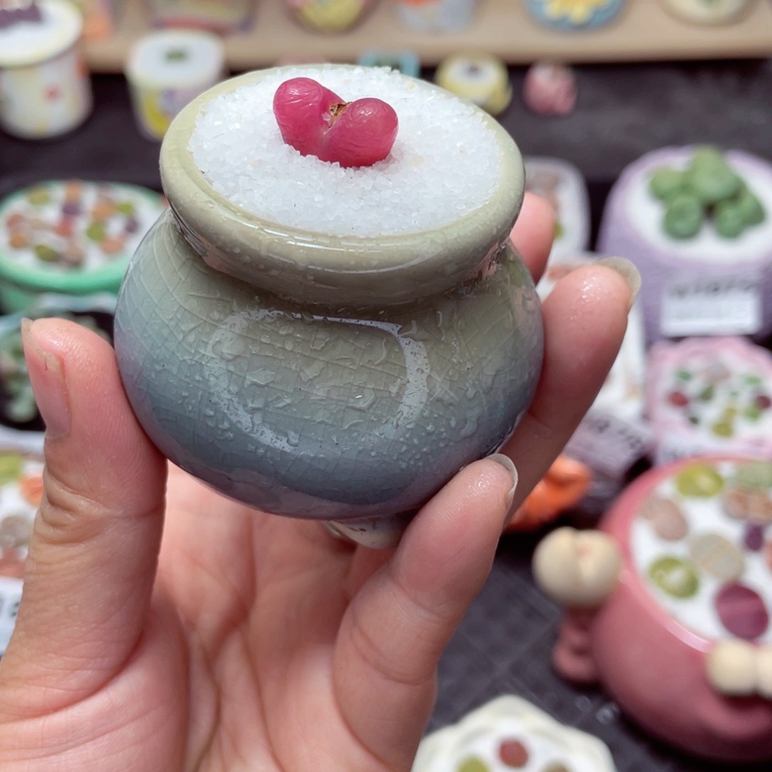 w1887 带盆土发货-零下地区拍保温箱