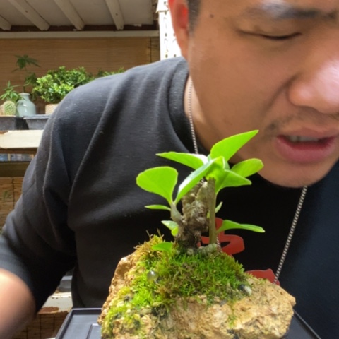 红陶我***说一物一拍所见即所得163