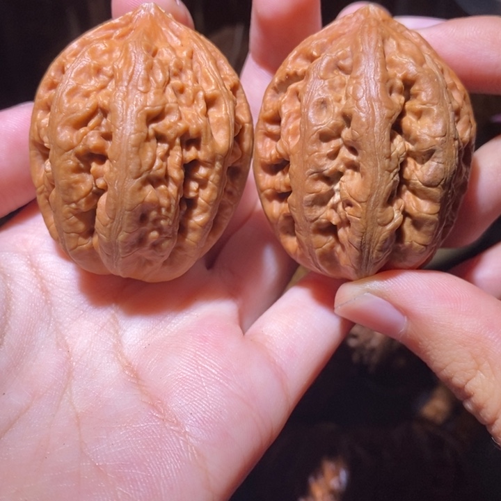 把件文玩核桃东北野生楸子小园125