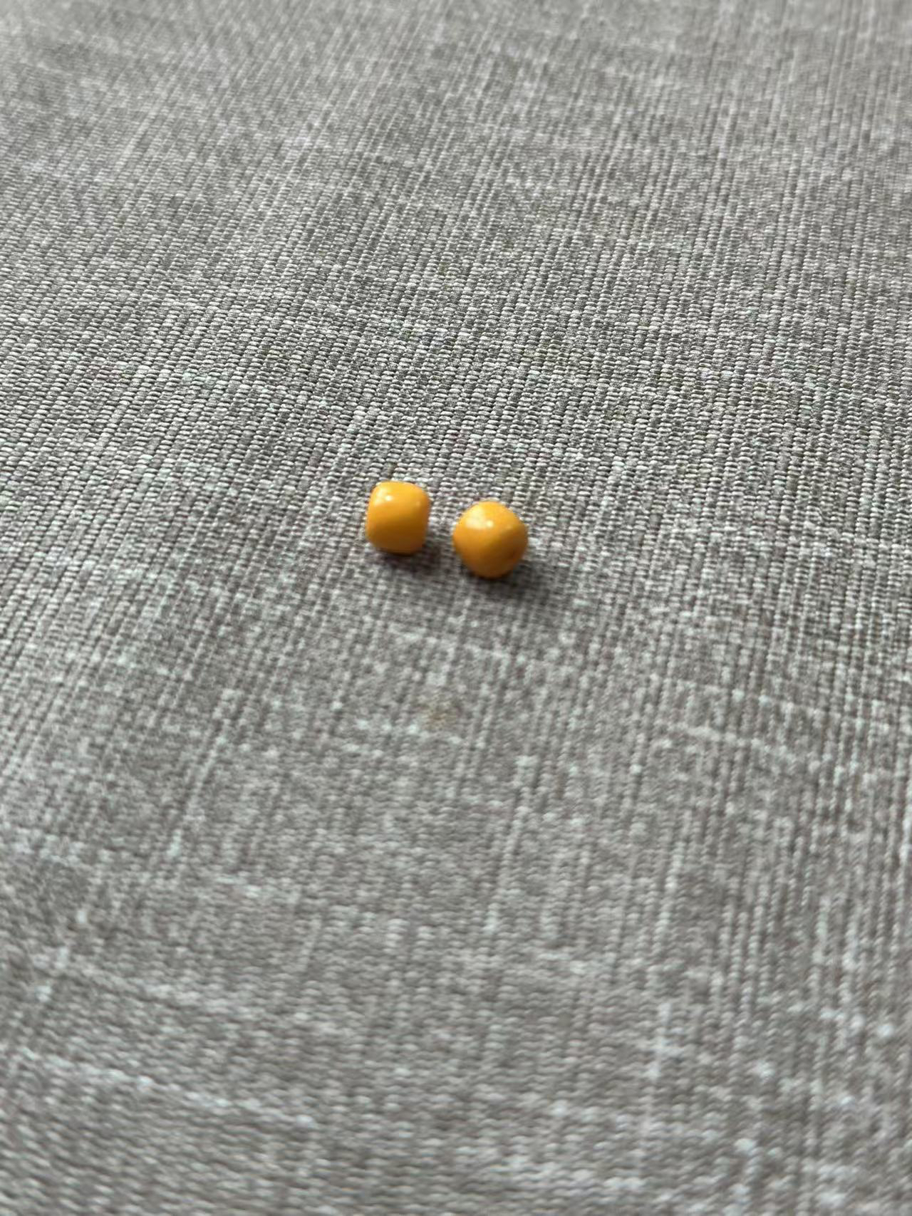 老花蜡鸡油黄老型（多样性发其一）