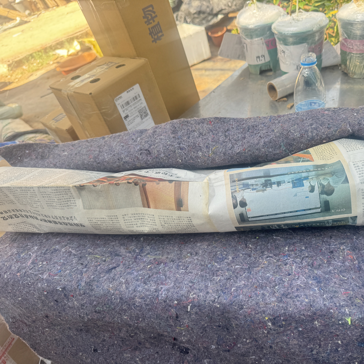 【保温棉】5度以下必拍！一颗花一个保温棉，未拍冻死不售后