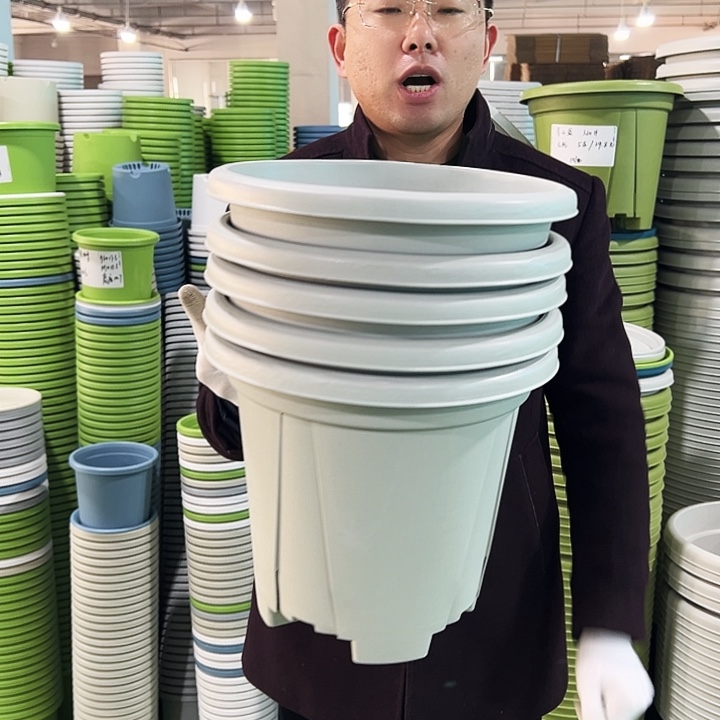 清仓青山口32高28灰白色5只无托