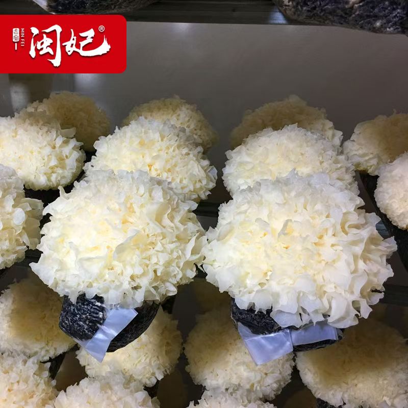 【顺丰包邮】古田新鲜银耳6朵盒装 活鲜白木耳雪耳非干货银耳莲子羹