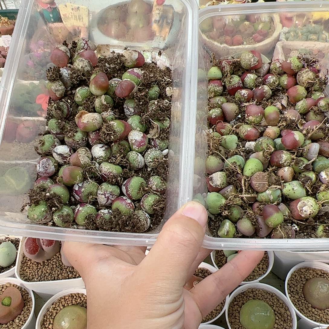 【闪购商品】6 全部