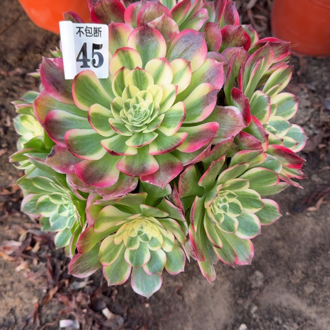 法师海王6745 19-18