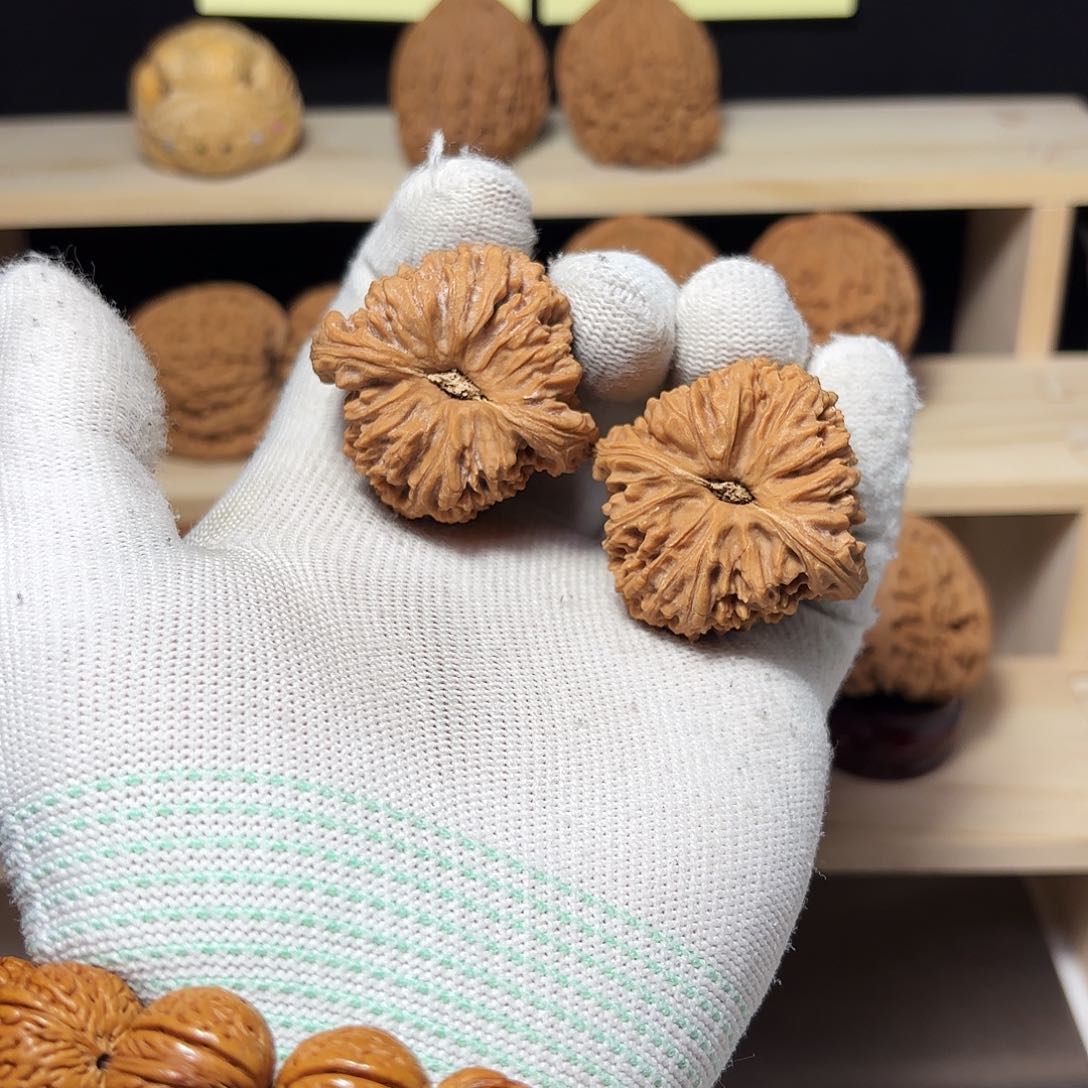 文玩核桃把件孙*祖涿鹿高炮凹底