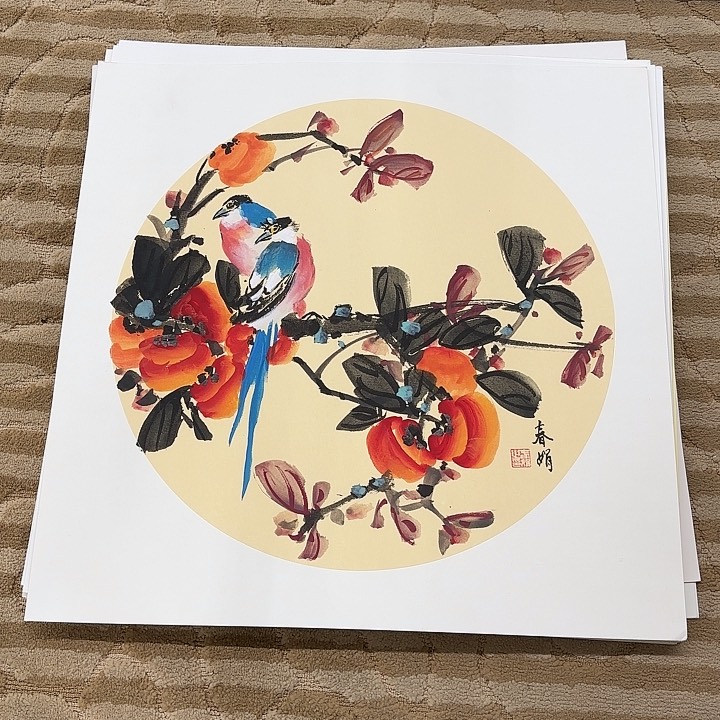 国画花鸟等多种鸟类的栖息50.50