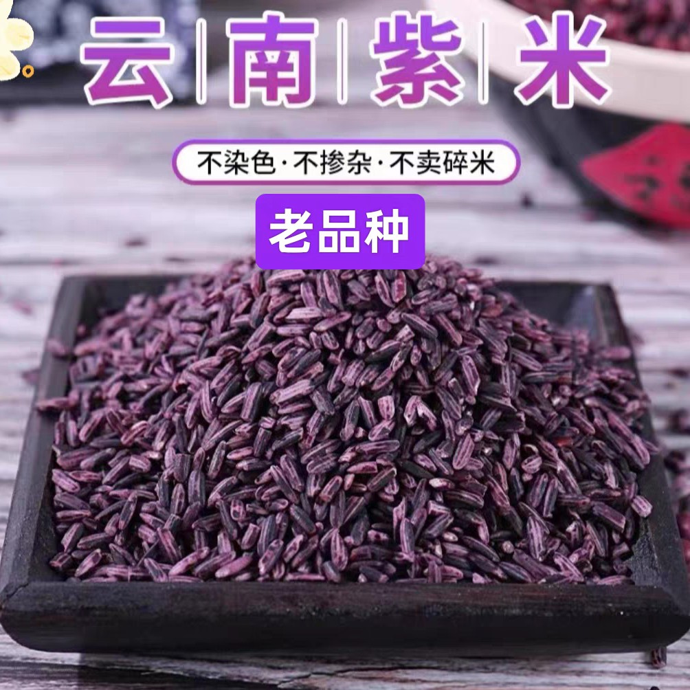 正宗云南墨江老品种紫米紫糯米哈尼梯田核心产区生态种植软糯礼盒