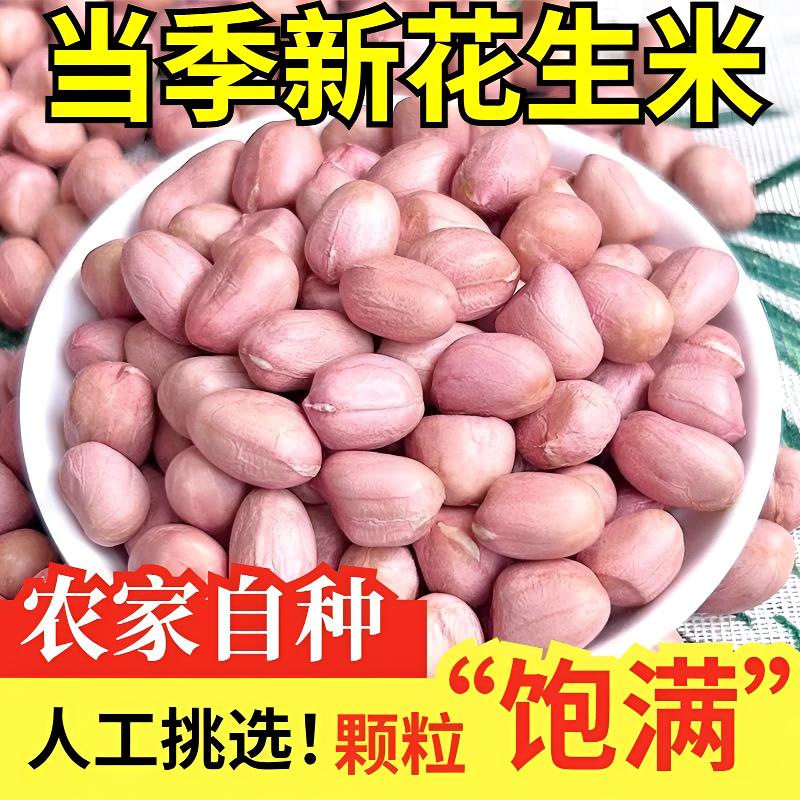 2025年大白沙花生米大颗粒农家现剥不带壳粉皮白皮新鲜花生仁榨油