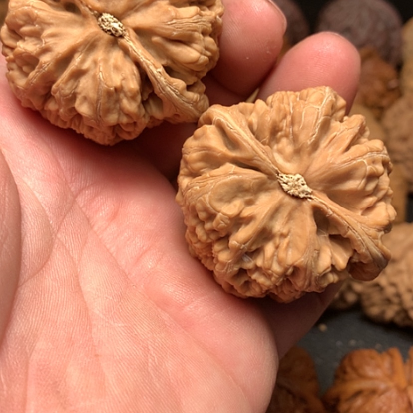 【闪购商品】把件文玩核桃马****叔大粗筋