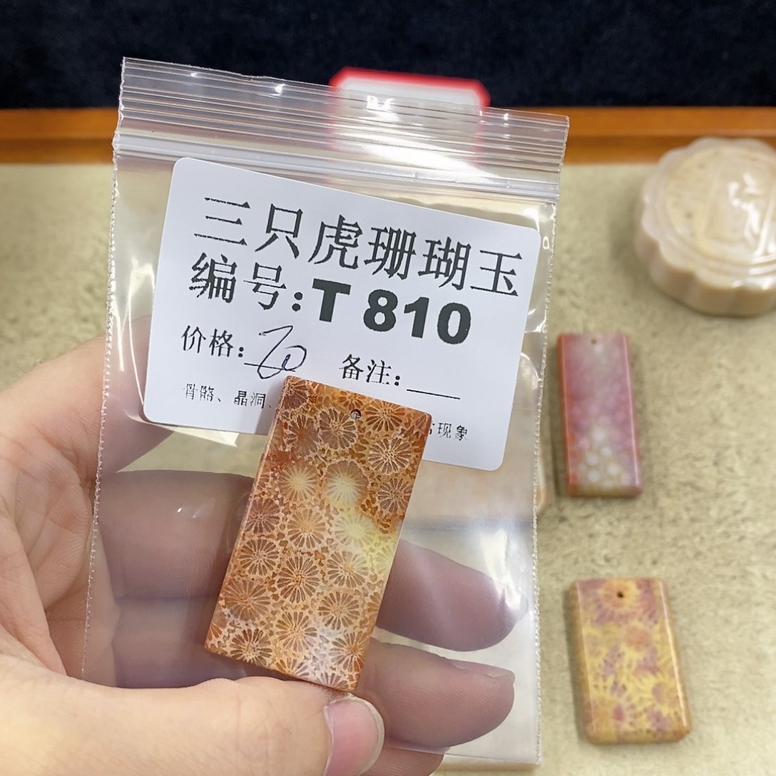 硅化珊瑚（珊瑚玉）1未镶嵌三***.