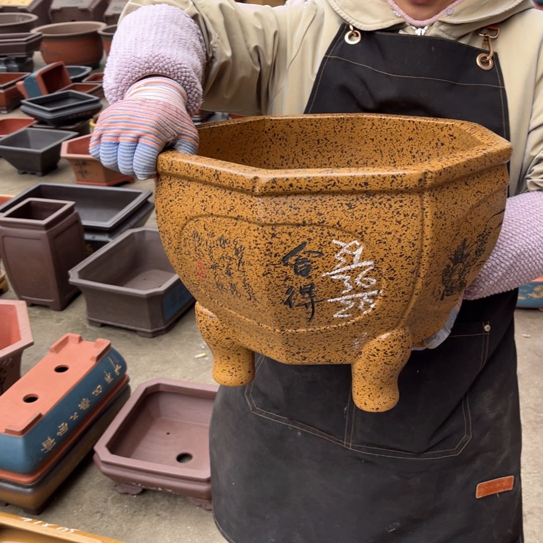 紫砂花盆盆景艺术