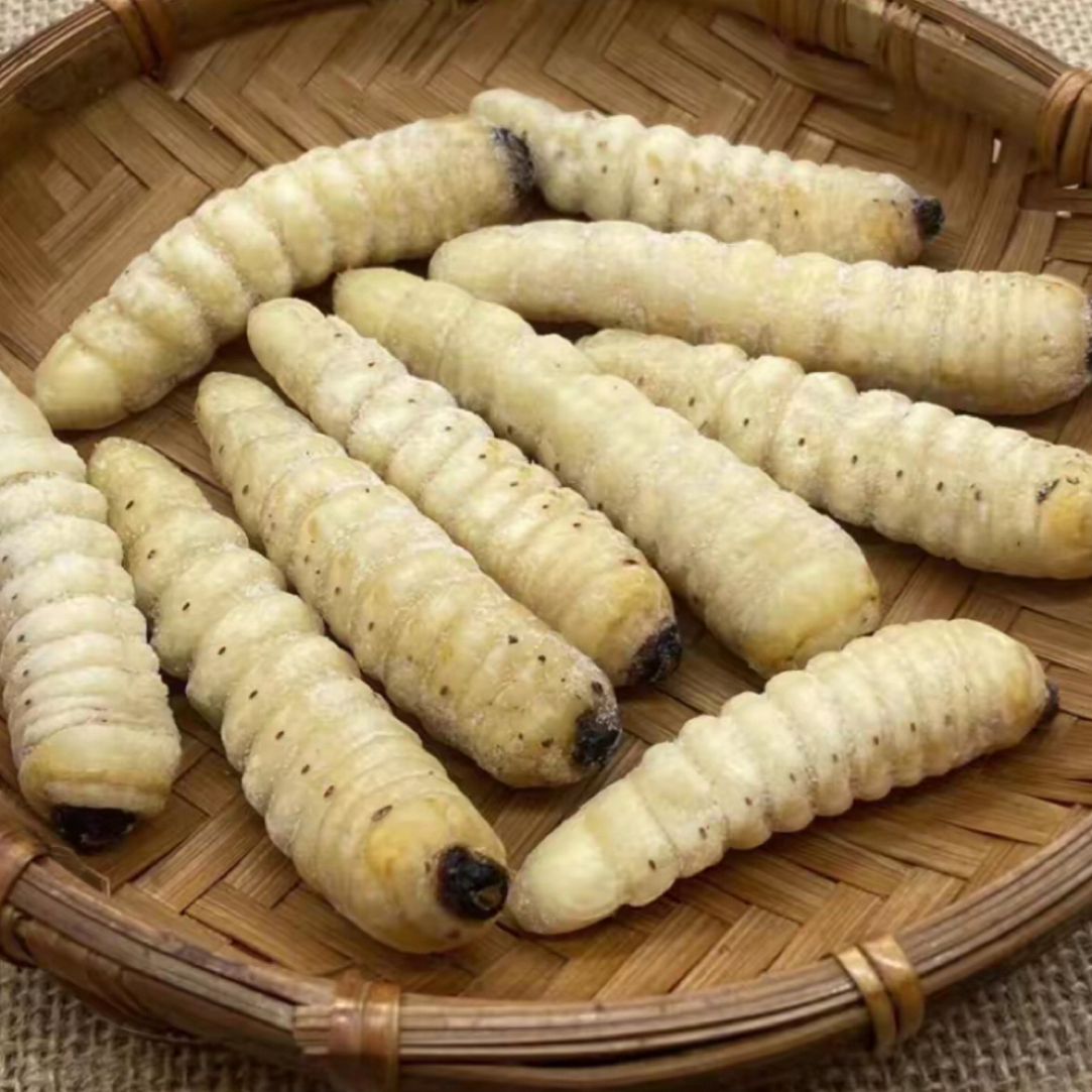 新鲜速冻木虫斗米虫当季新货冷冻发货